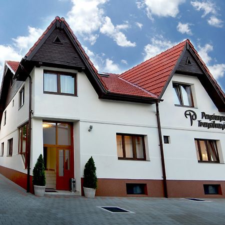Pensiunea Transilvania Sibiu Dış mekan fotoğraf