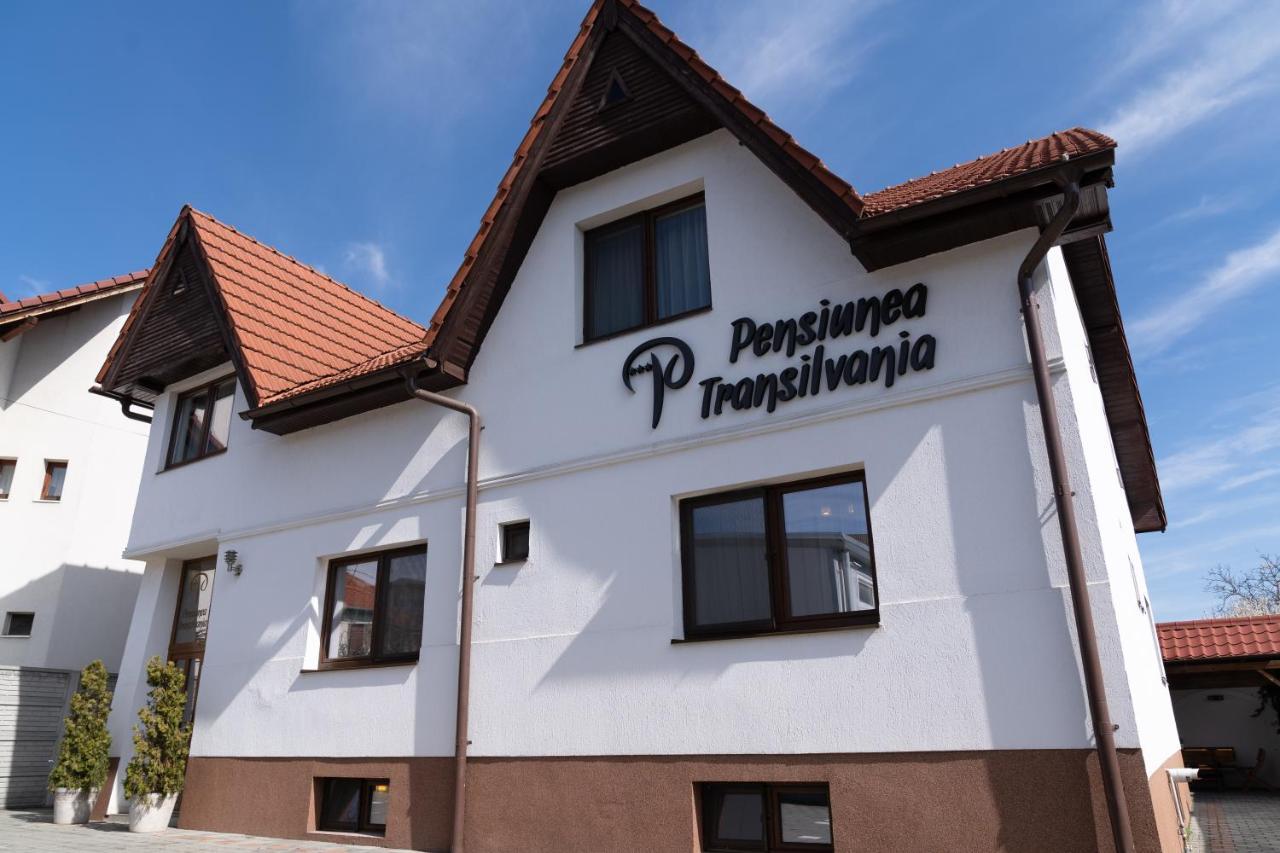 Pensiunea Transilvania Sibiu Dış mekan fotoğraf